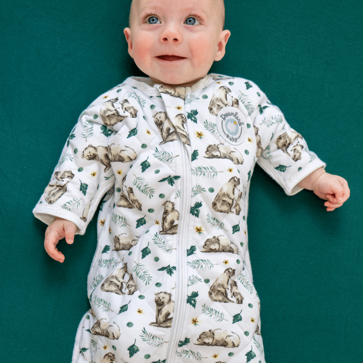 Dream Weighted Transition Swaddle - Archive 4/10/24