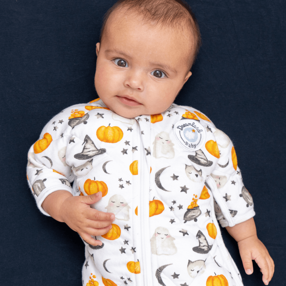 Dream Weighted Transition Swaddle - Archive 4/10/24