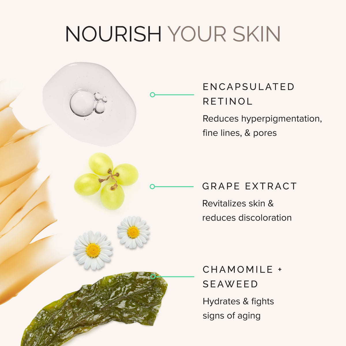 Skincare product with encapsulated retinol, grape extract, chamomile, and seaweed 