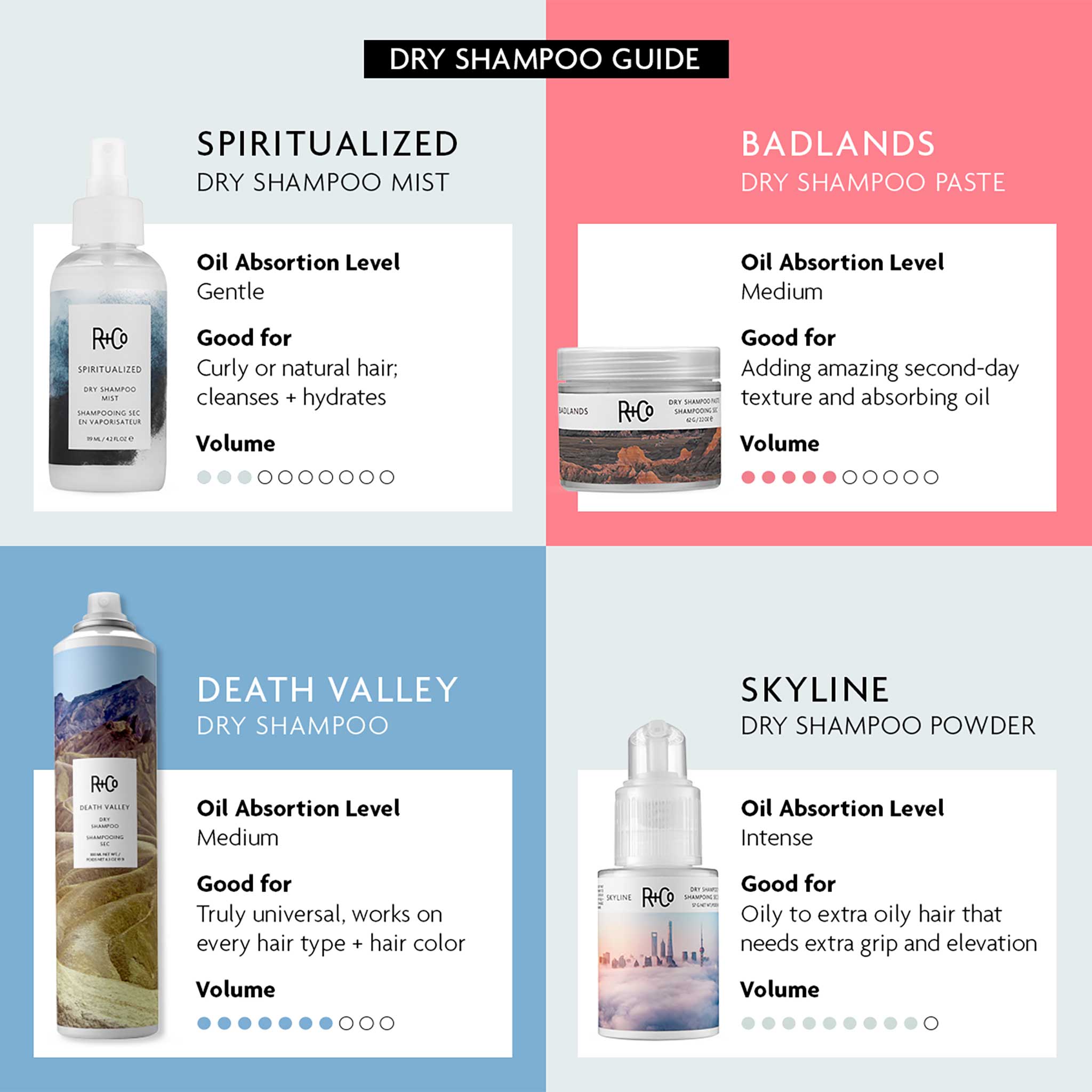 R + Co | Spiritulaized Dry Shampoo Mist