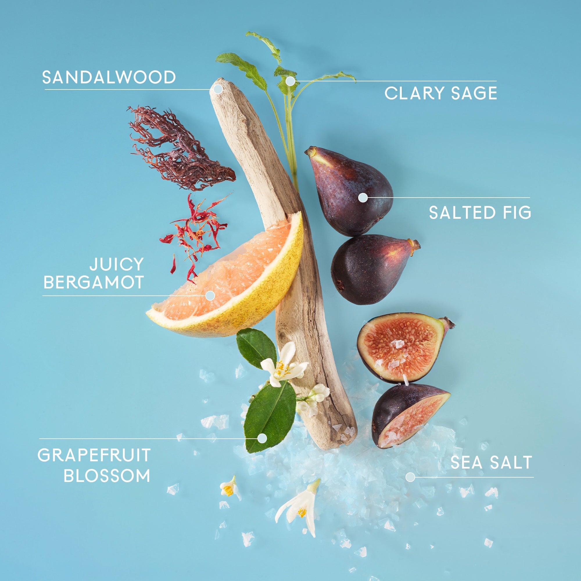 333 Sheer Fig + Salt Hair & Body Mist | Lake and Skye Tru Fragrance & Beauty LLC