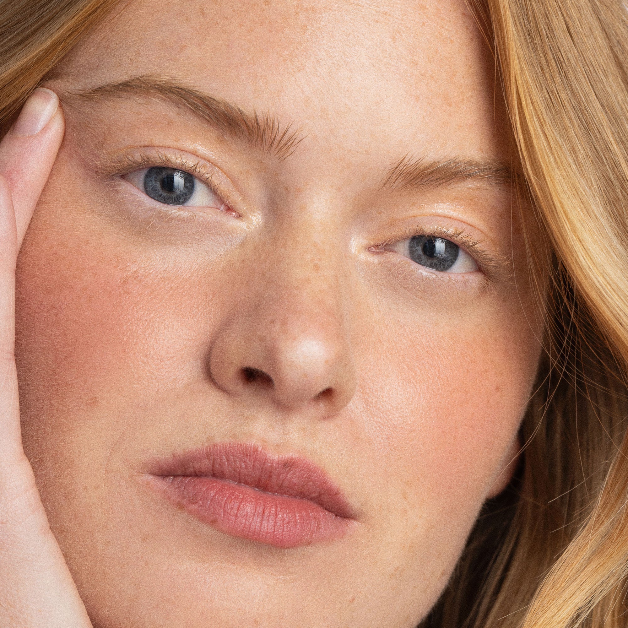 Melting Lip Powder | Berry Mauve