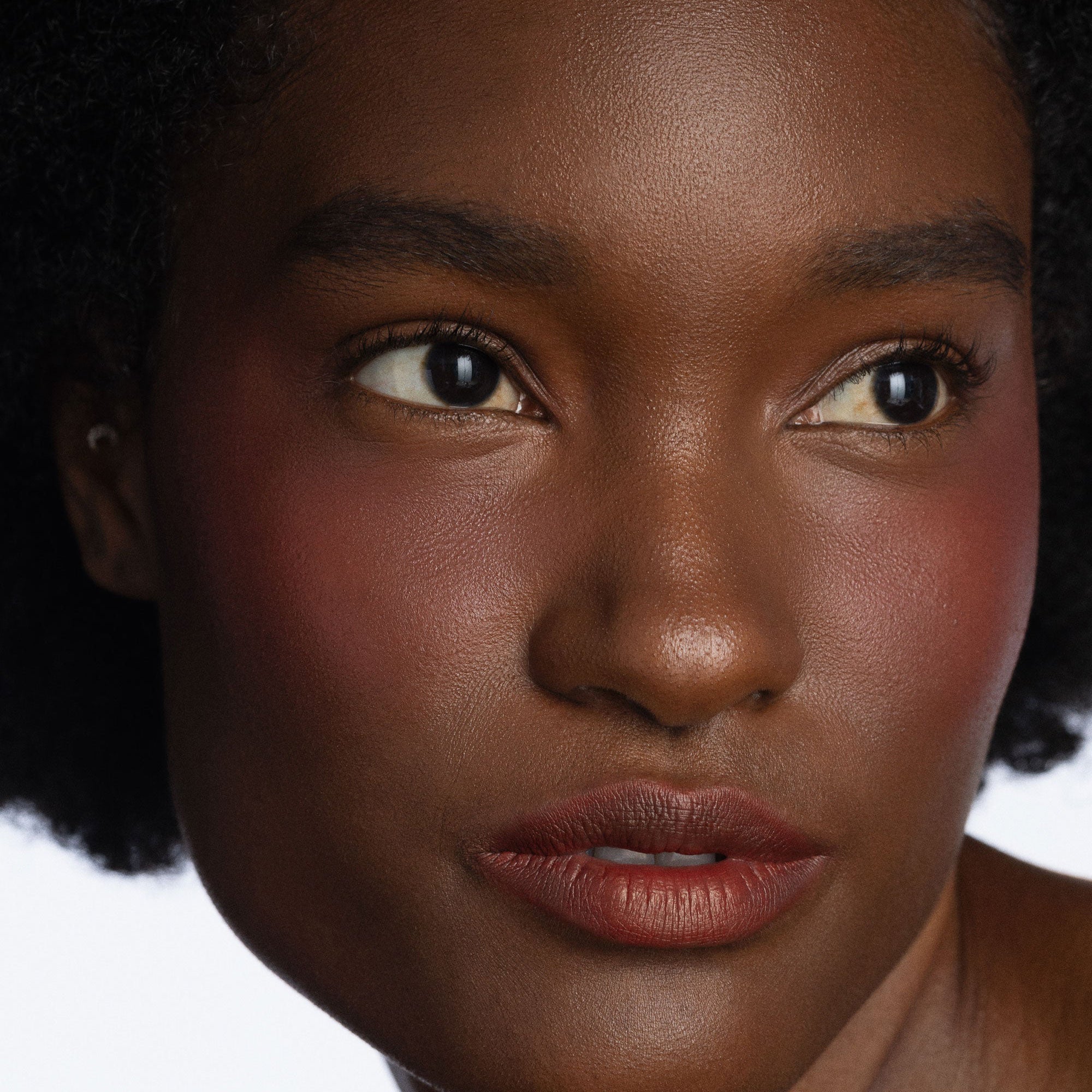 Melting Lip Powder | Desert Rose