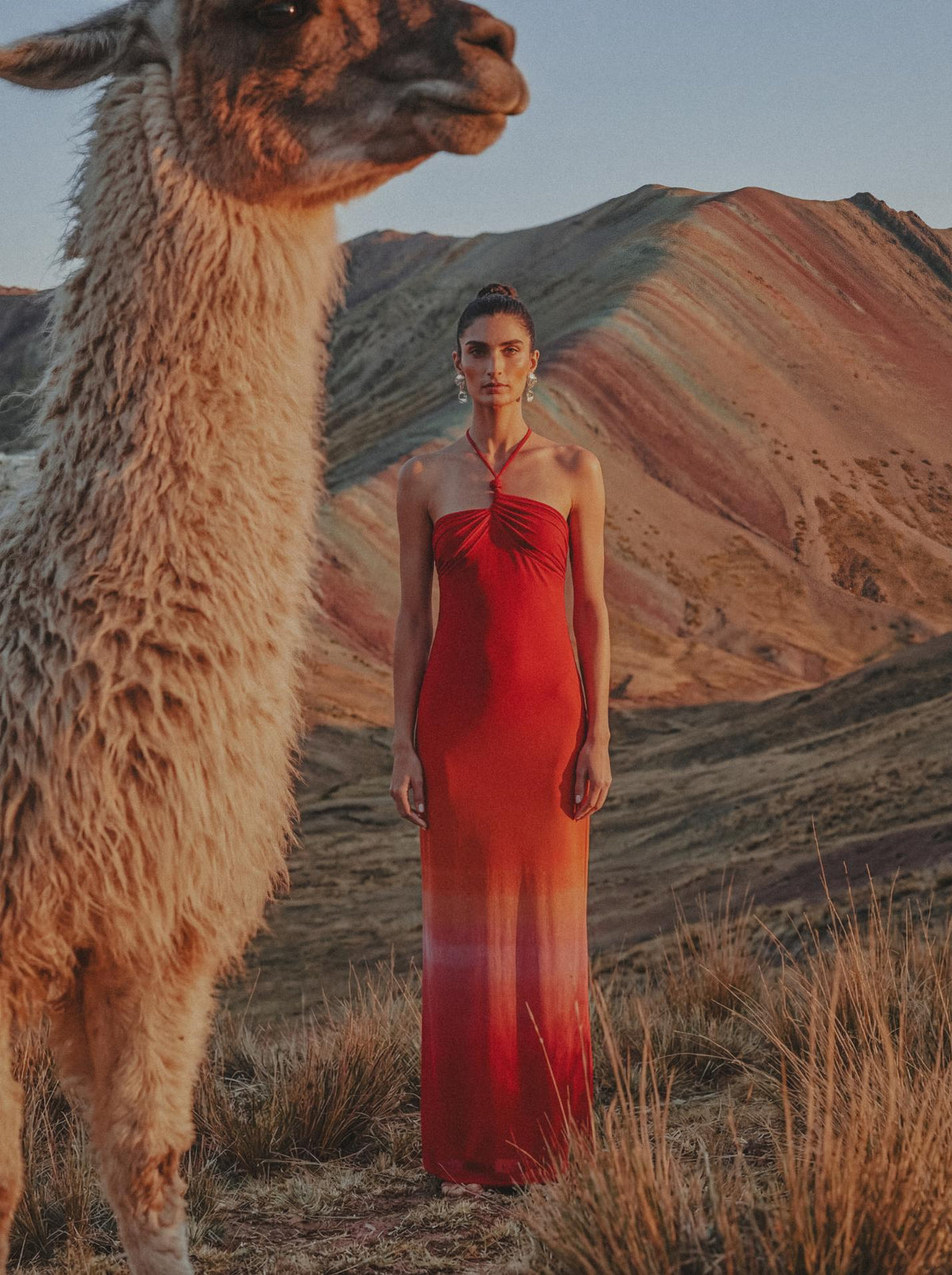 Bari Maxi Dress