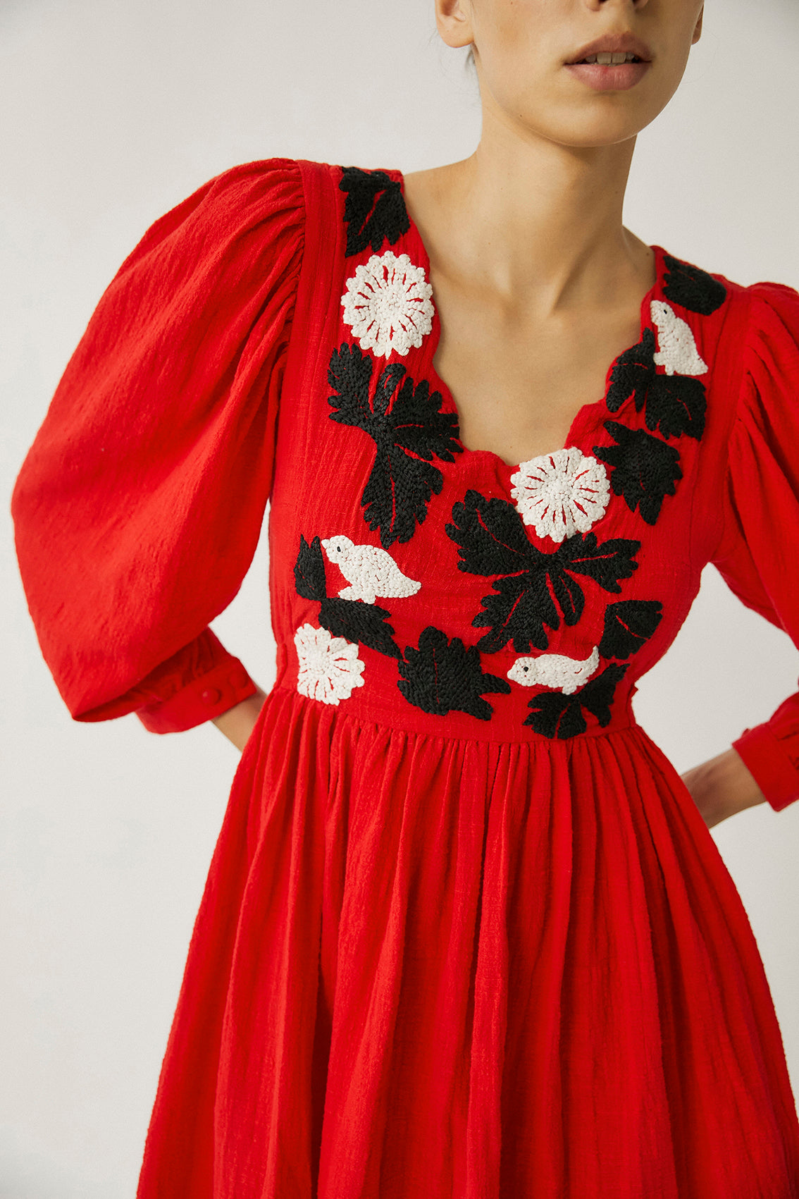 Tana Embroidered Dress | Red