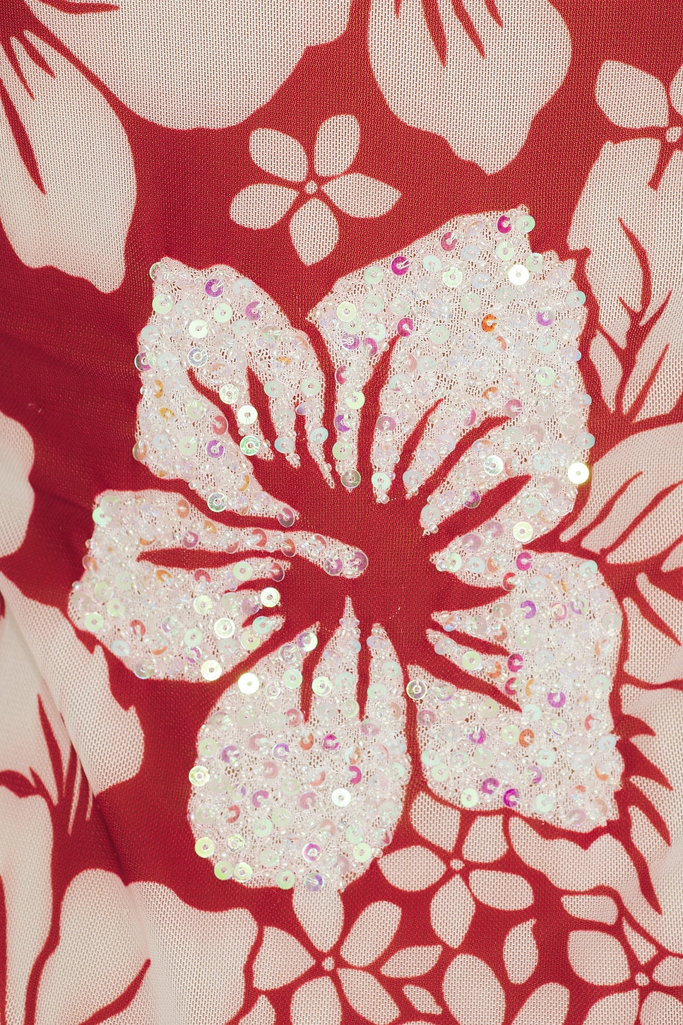 Roselle Mesh Dress | Hibiscus