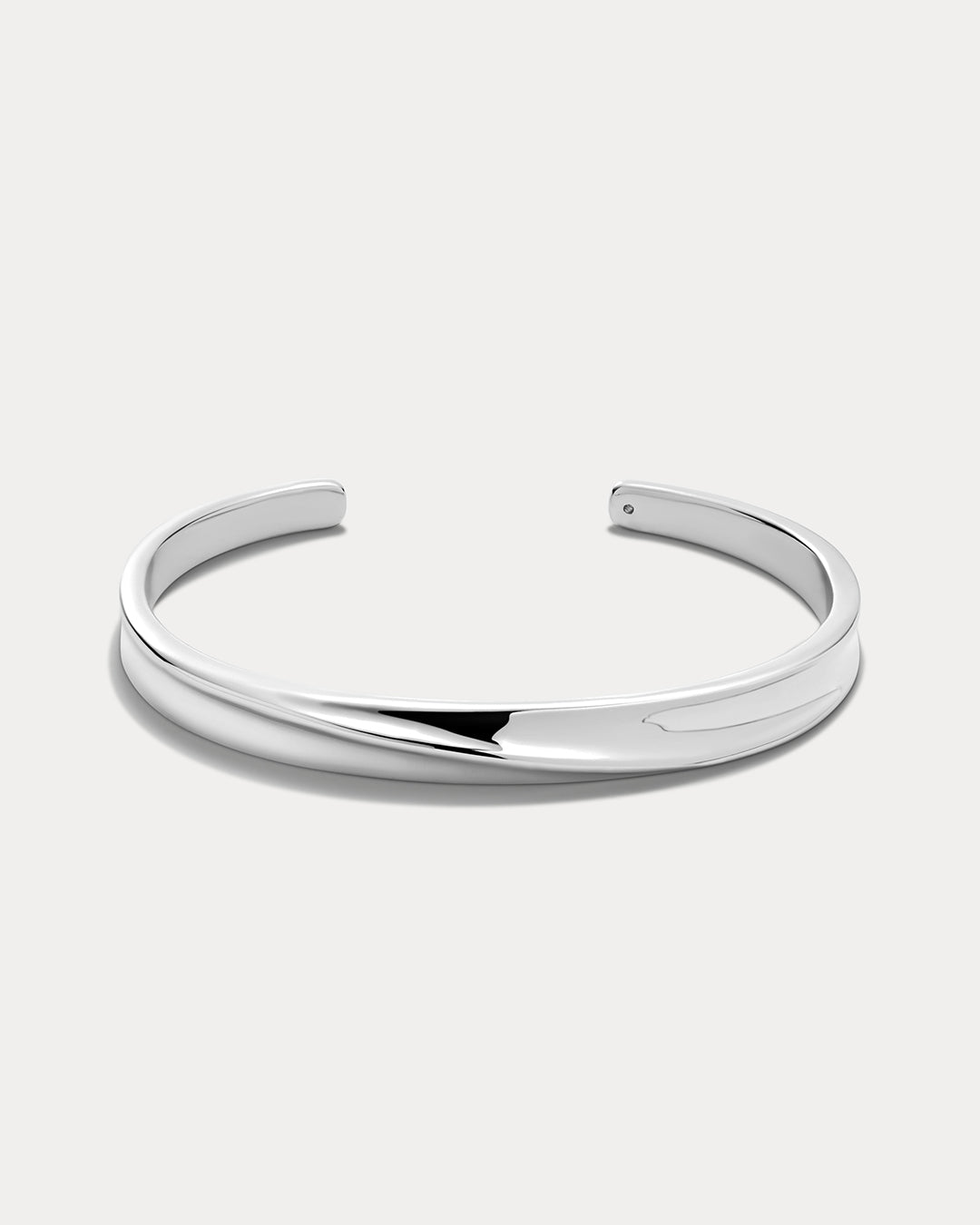 Luv Aj Mercury Disc Bangle in Silver