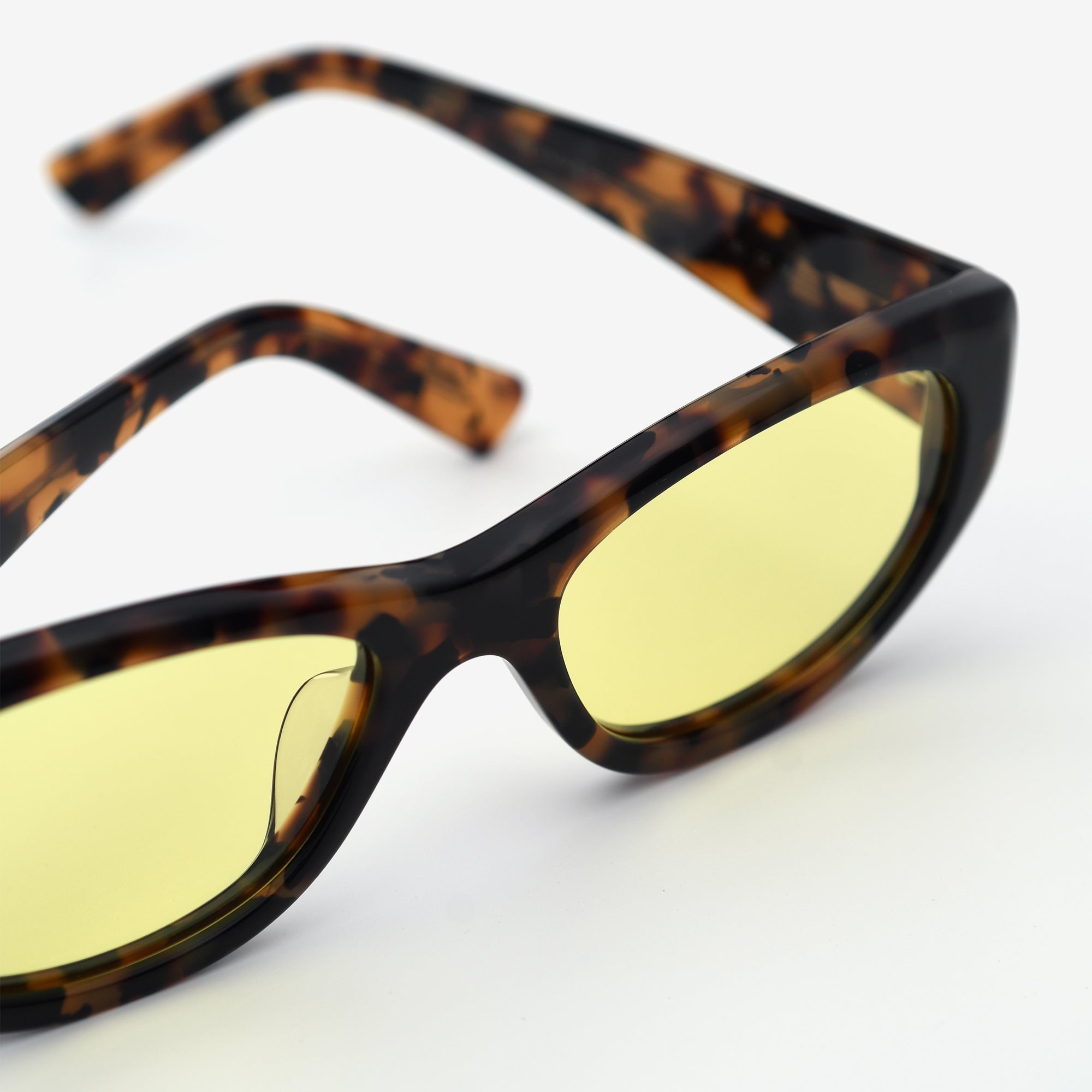Tortoise / Yellow