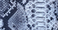 SNAKE MESH MIO