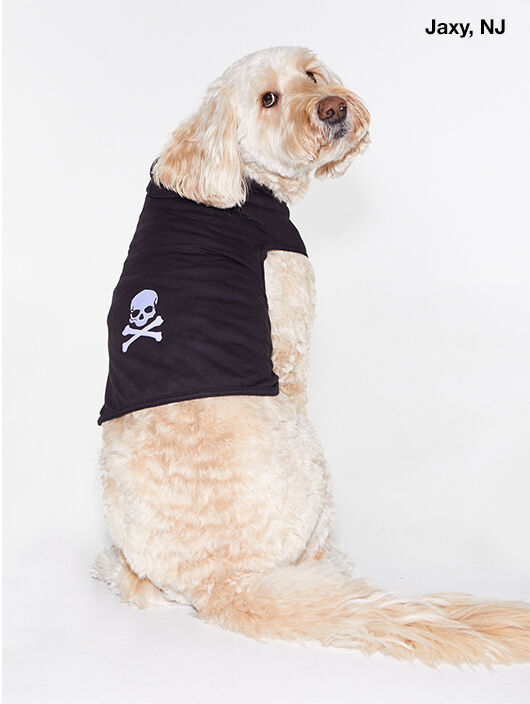 DOG SWEATER BLACK | Soul by SoulCycle