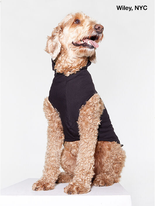 DOG SWEATER BLACK | Soul by SoulCycle