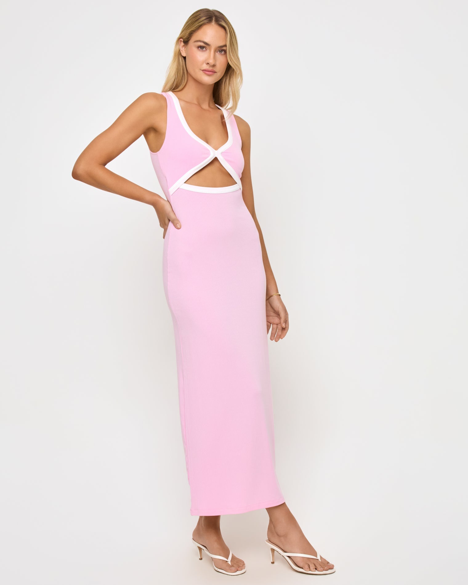 Steph Dress - Rosewater