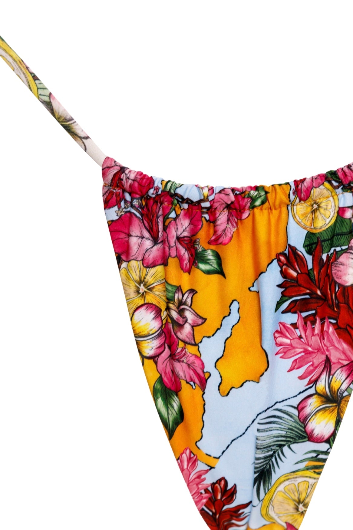 Alexis Bikini Bottom | Ventura