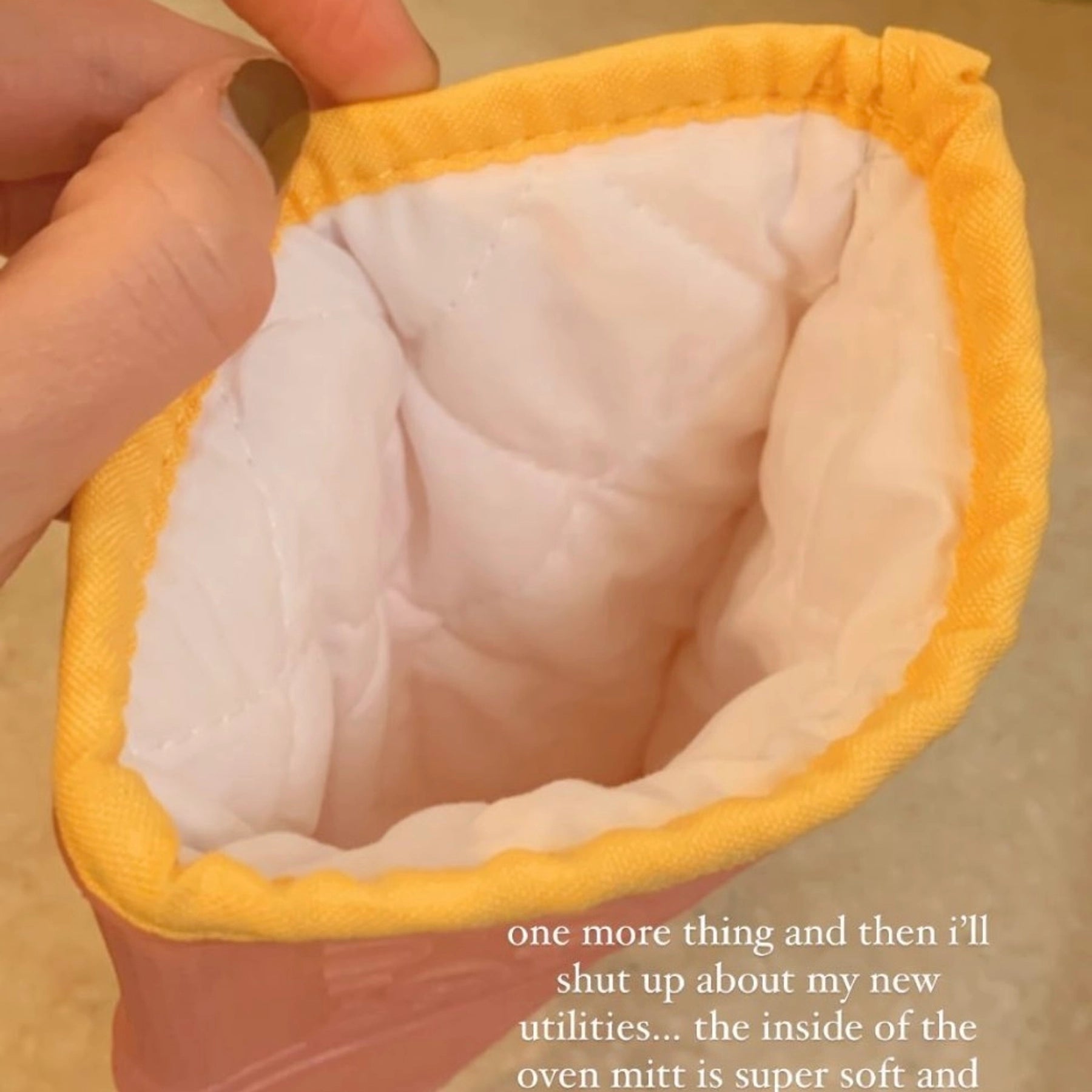 The Oven Mitts