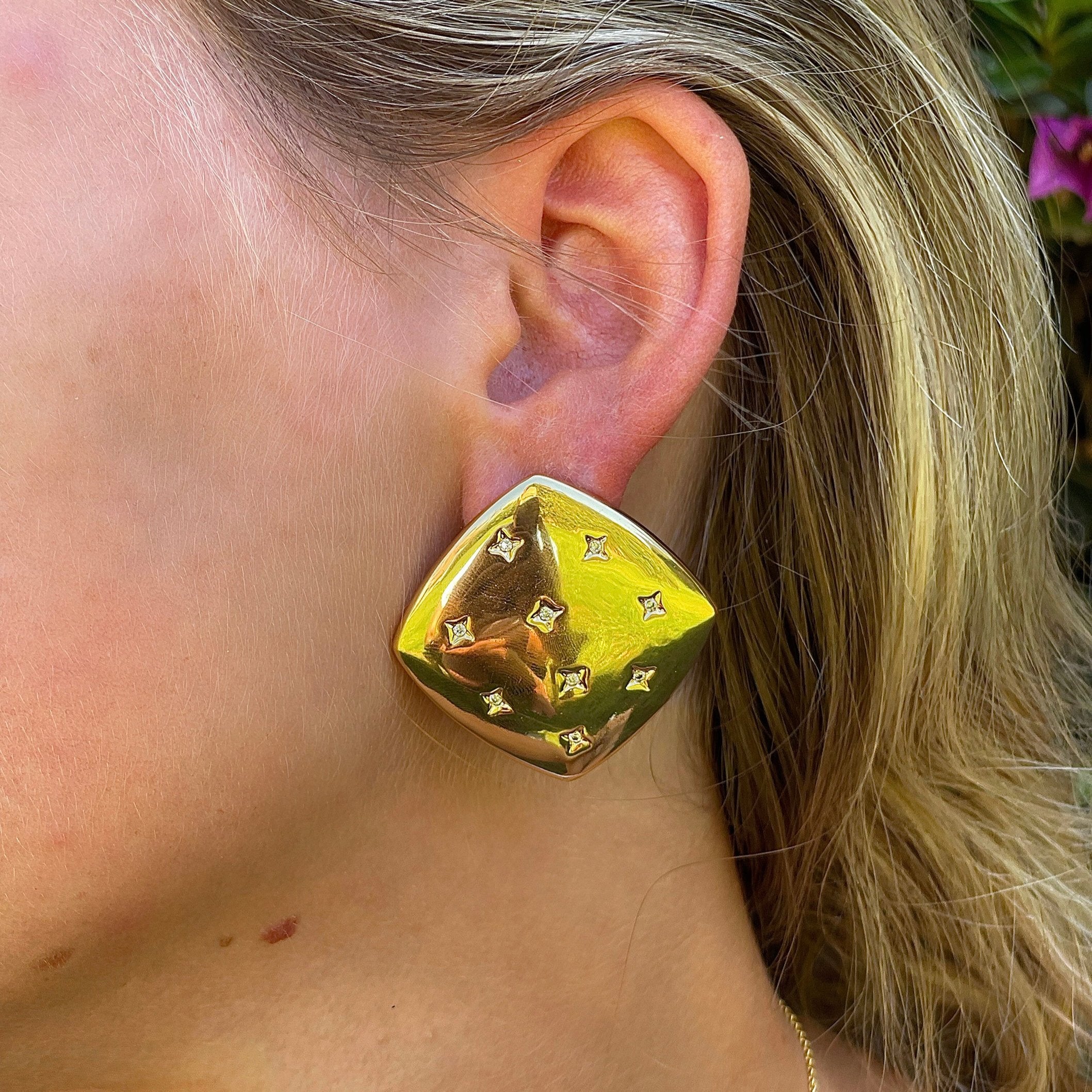 Star Gazer Earrings