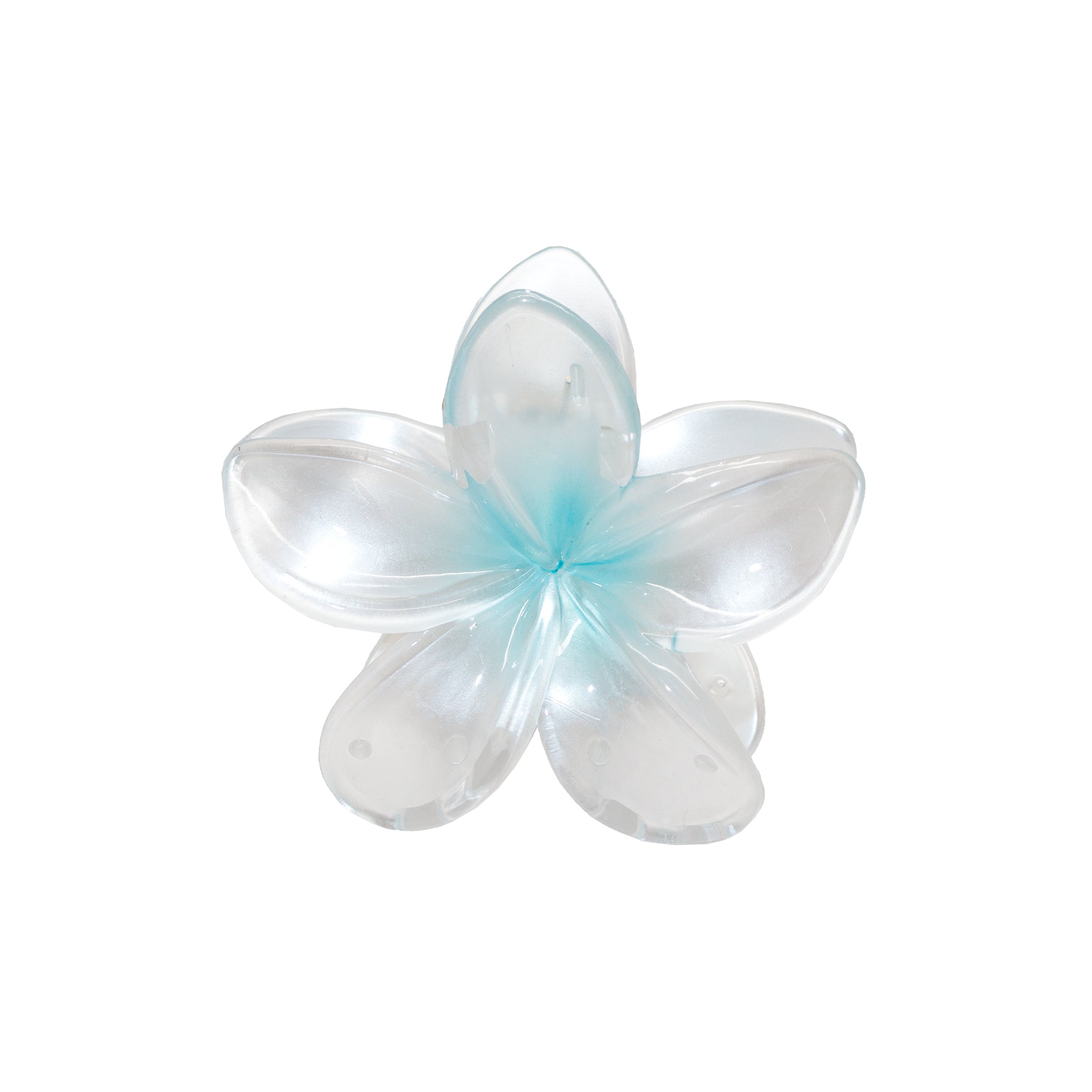 Superbloom in Aqua Pearl