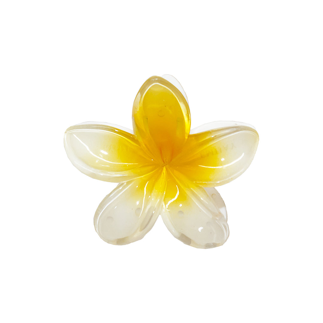 Superbloom in Coconut