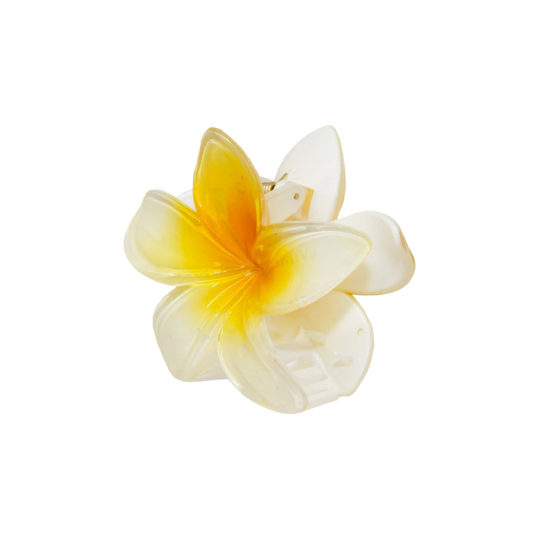 Superbloom in Coconut