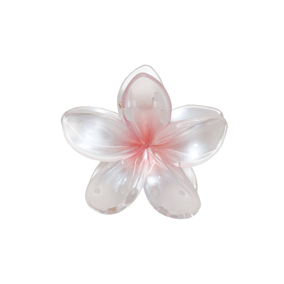 Superbloom in Rose Pearl